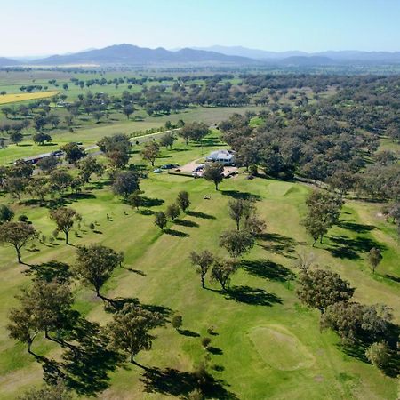 Quirindi Sunflower Motor Inn エクステリア 写真