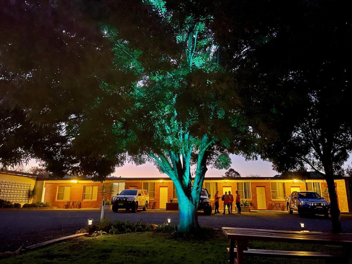 Quirindi Sunflower Motor Inn エクステリア 写真