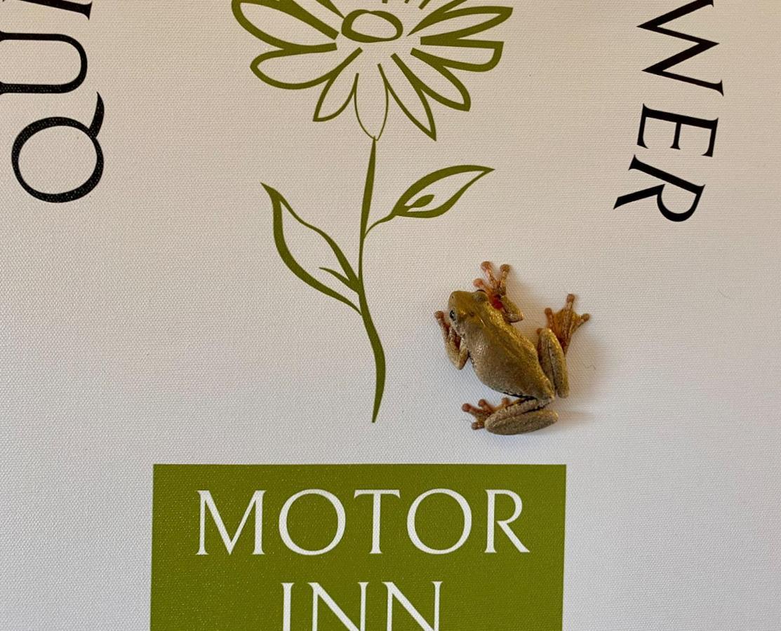 Quirindi Sunflower Motor Inn エクステリア 写真