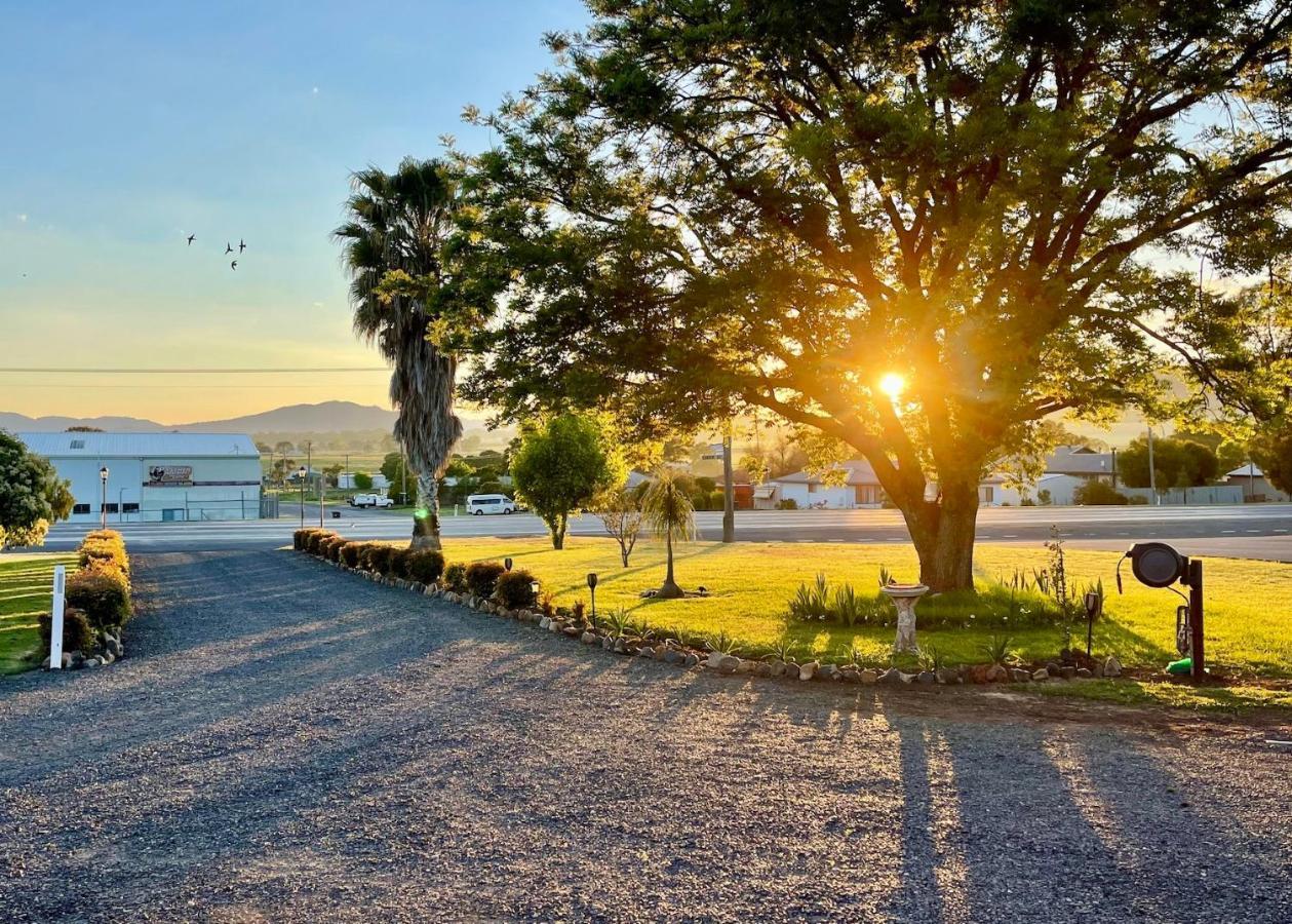 Quirindi Sunflower Motor Inn エクステリア 写真