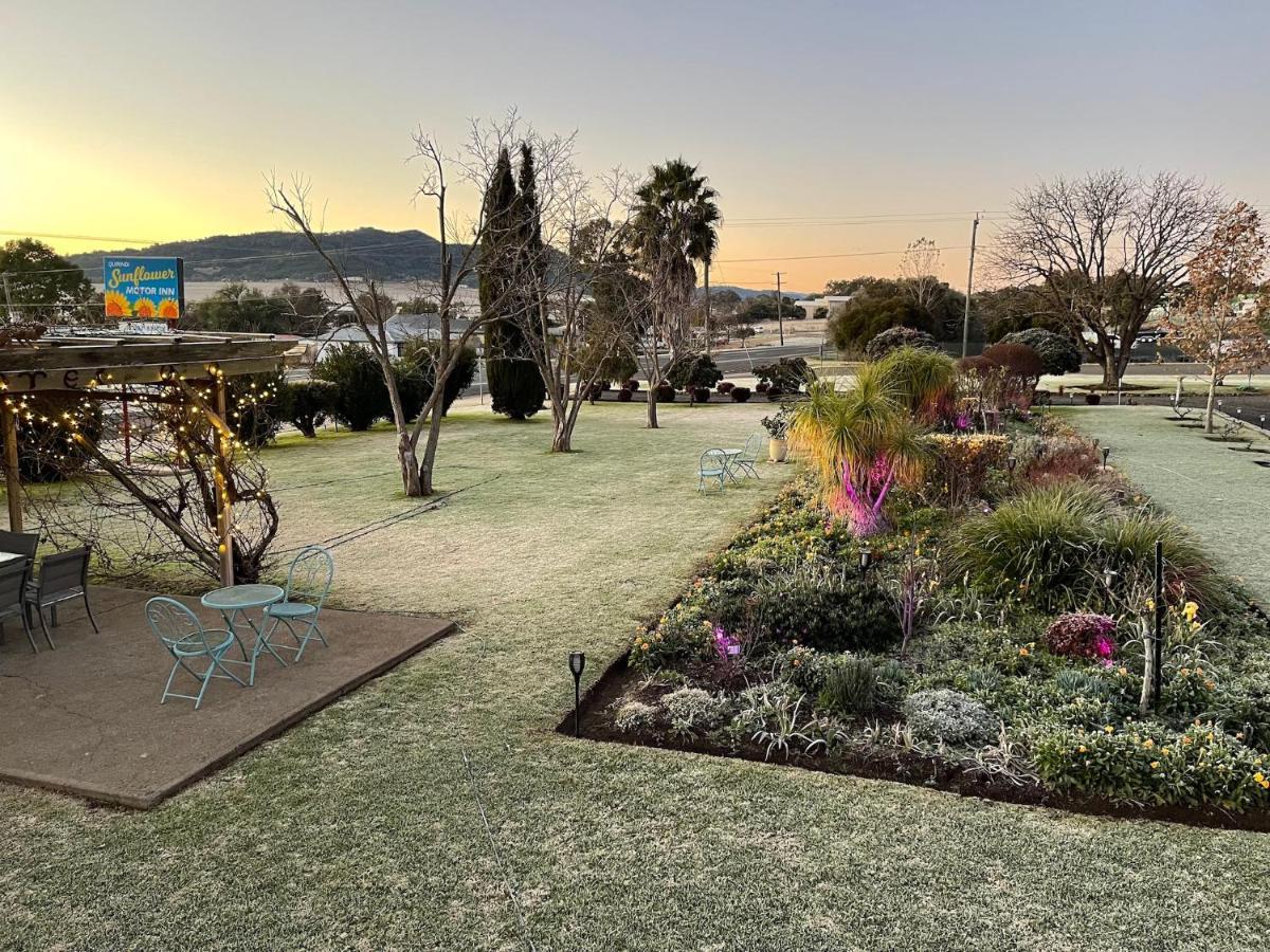 Quirindi Sunflower Motor Inn エクステリア 写真